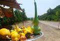 Calabash